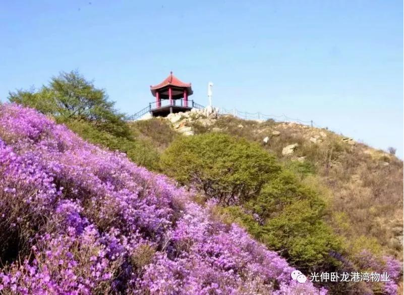 �°�ʤ���š�(�й���)�¹ٷ���վ