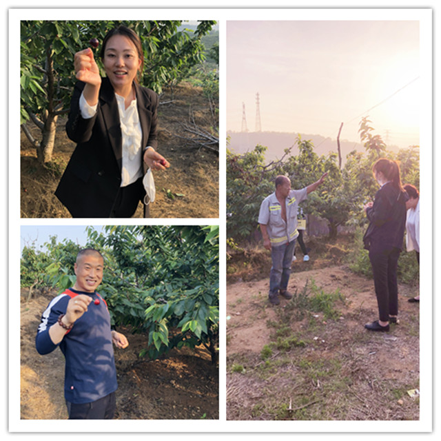 �°�ʤ���š�(�й���)�¹ٷ���վ