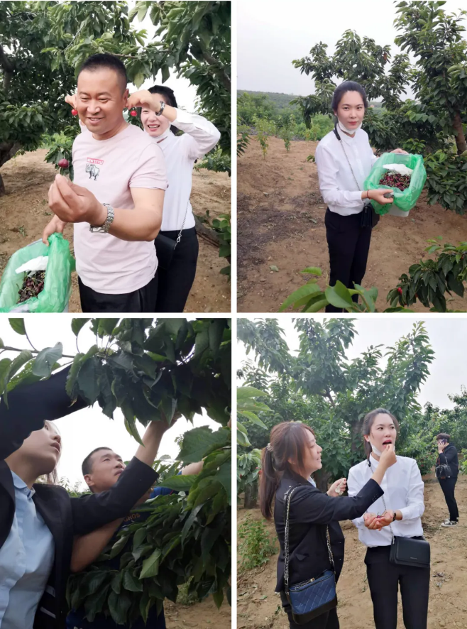 �°�ʤ���š�(�й���)�¹ٷ���վ