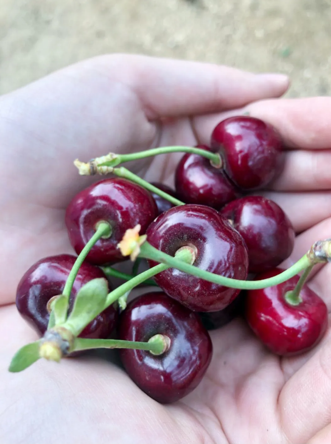 �°�ʤ���š�(�й���)�¹ٷ���վ